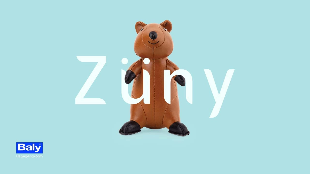 Zuny Logo Design